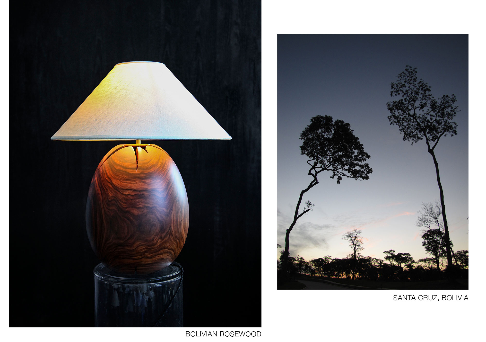 arbol-story-collage_1 tropical modernist rosewood lamps handmade in La Paz, Bolivia.