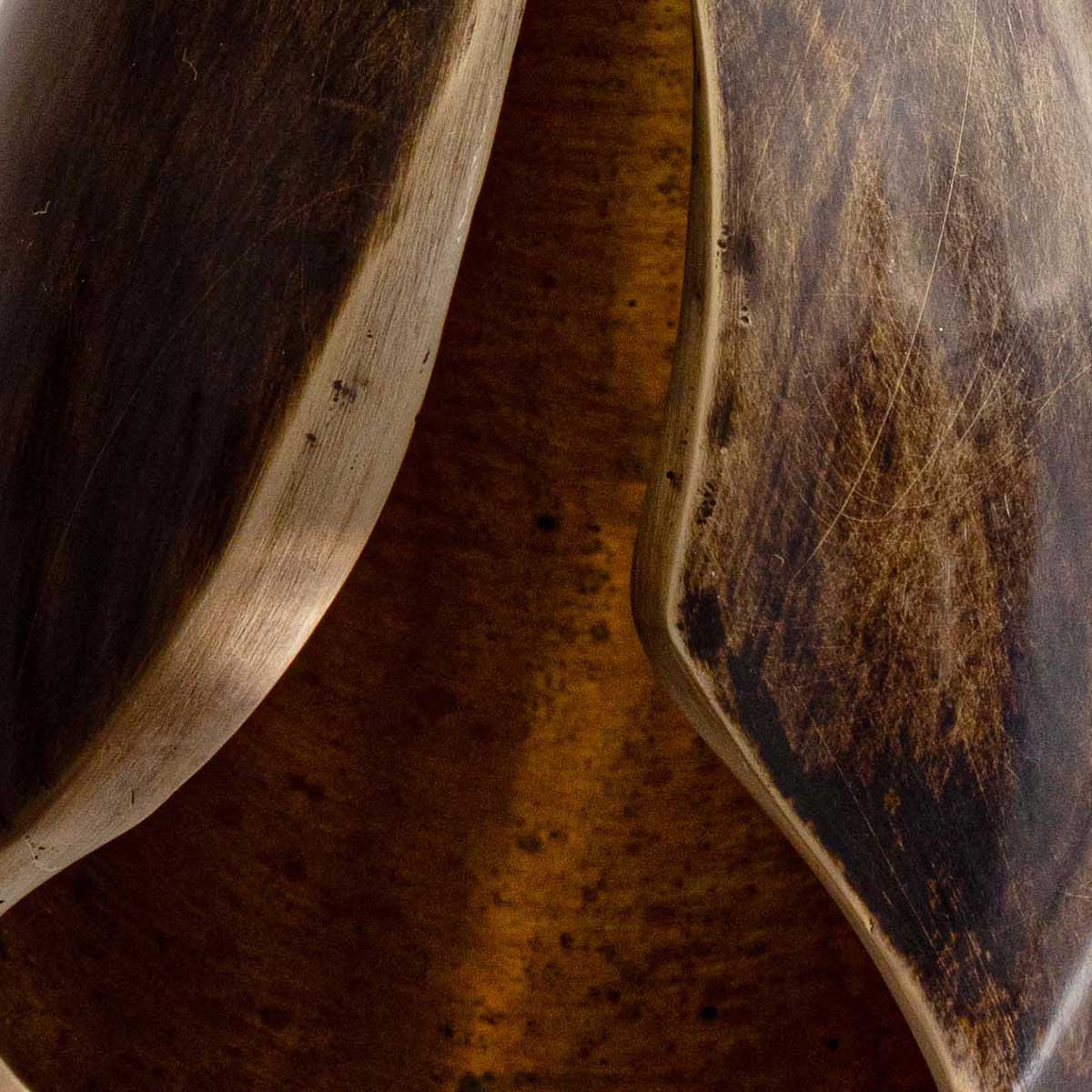 Flor-de-Bronce_Lirio_Sepia