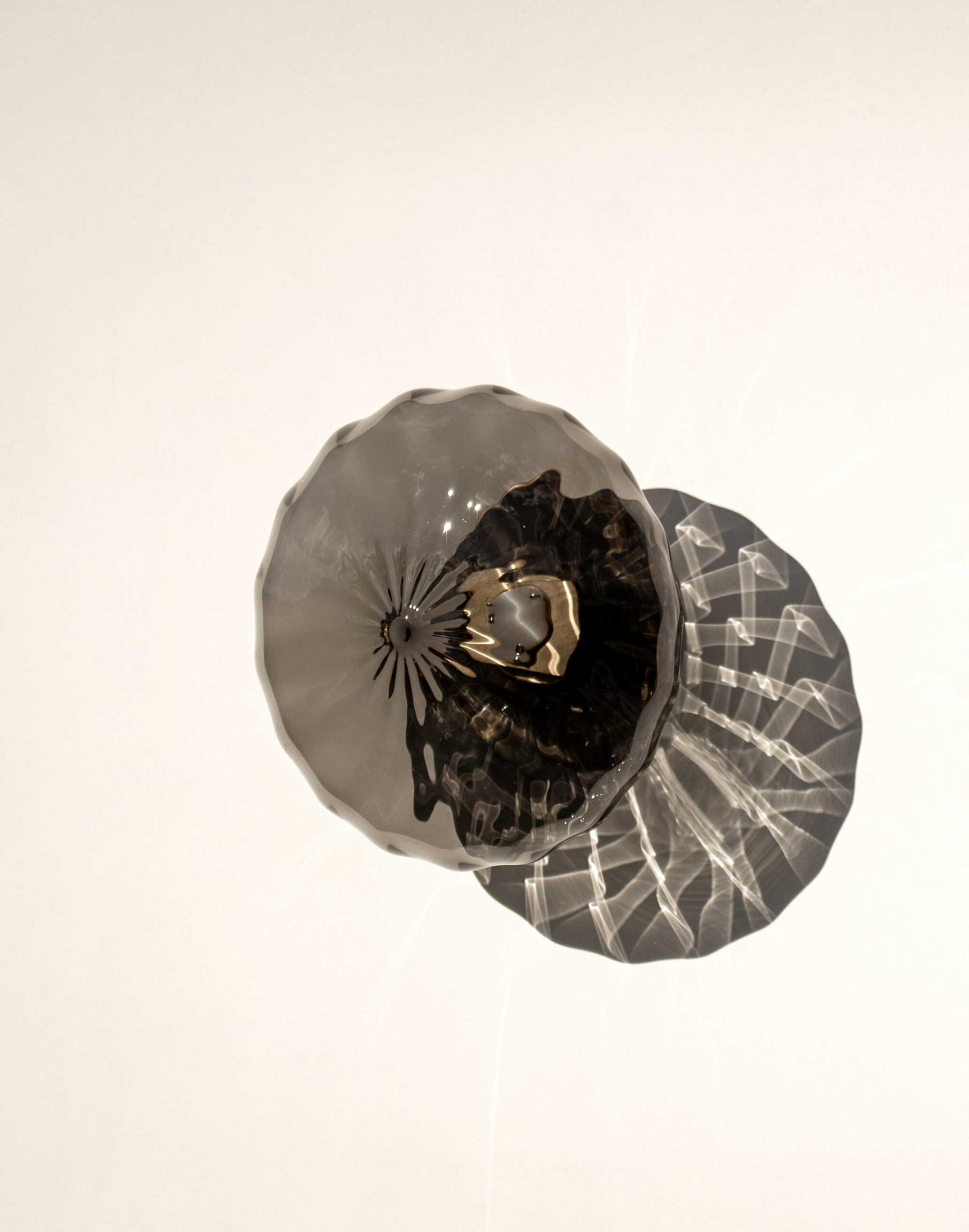 Agave_Oaxaca_Espadin-Mini_Obsidian agave espadin mini shadow