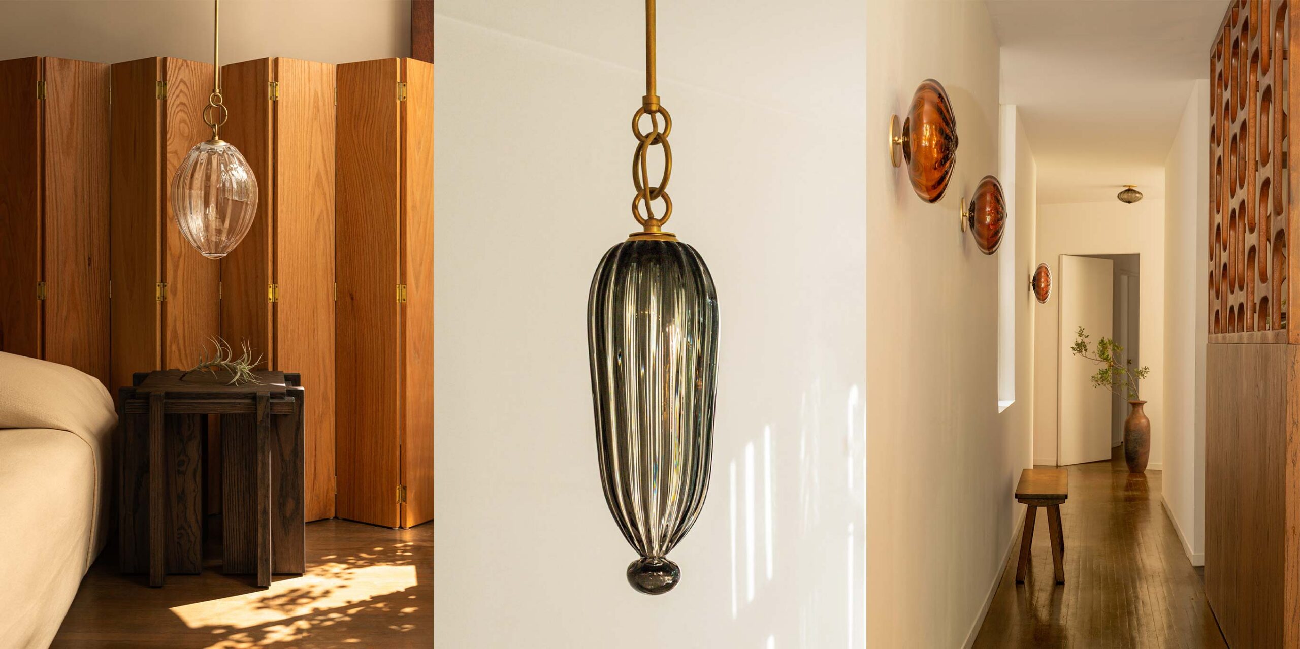 agave collection banner